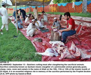 APP06-13 ISLAMABAD: September 13 Butchers cutting meat after slaughtering the sacrificial animals. Sacrifice commonly known as Qurbani means slaughter of a permissible animal generally goats, sheep, rams, cows and camels in the name of Allah on the 10th, 11th or 12th of the Islamic month of Zil Hijjah. It is an essential religious rite in memory of the sacrifice performed by the Prophet Ibrahim (A.S). APP photo by Saeed-ul-Mulk