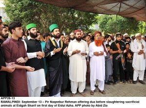APP28-13 RAWALPINDI: September 13 Pir Naqeebur Rehman offering dua before slaughtering sacrificial animals at Eidgah Sharif on first day of Eidul Azha. APP photo by Abid Zia