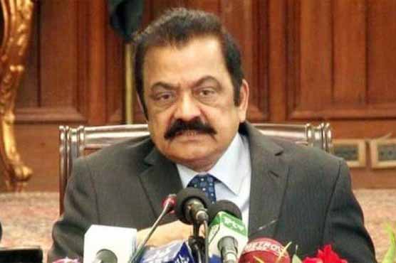 سعد رفیق کے