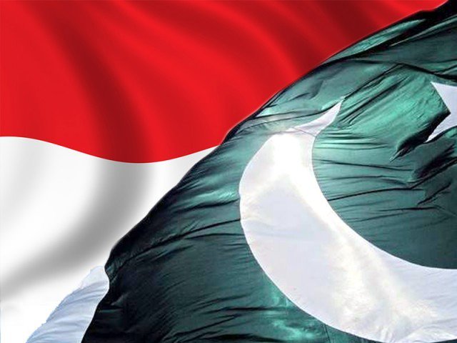 انڈونیشیا نے آم اور ڈینم سمیت