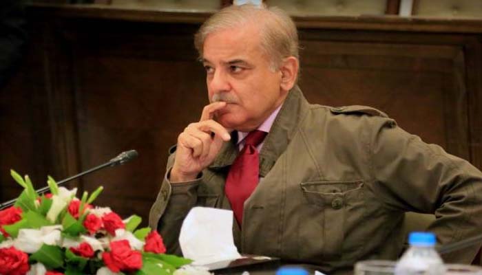 شہبازشریف کا ملزم