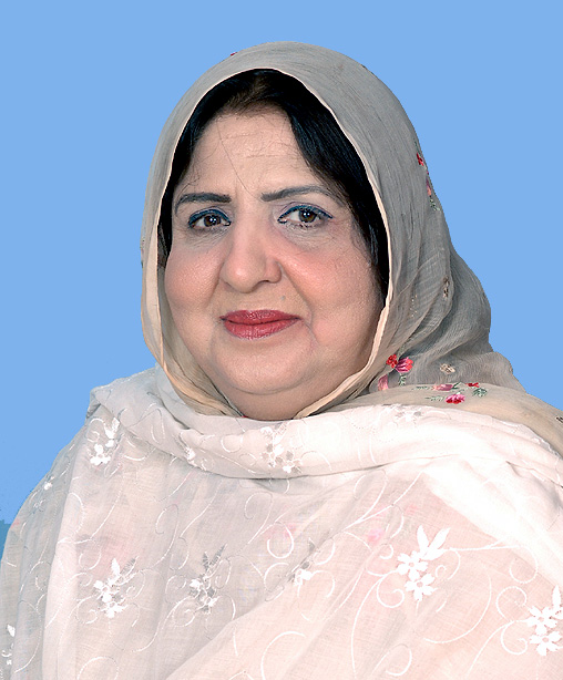 خیبر پختونخوا میں