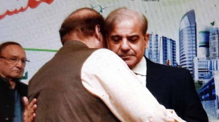 نوازشریف (ن) لیگ کے تاحیات