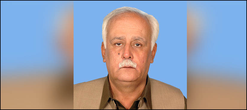 مسلم لیگ ن کے